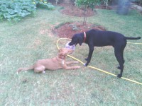 /album/fotogaleria/barry-y-neron-jpg/